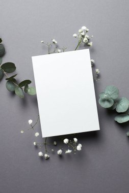 Düğün davetiyesi modeli, okaliptüs ve çıngıraklı dal. Boş kart maketi.