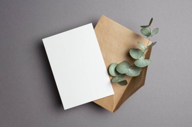 Davetiye ya da tebrik kartı modeli. Zarf ve doğal okaliptüs dalı..