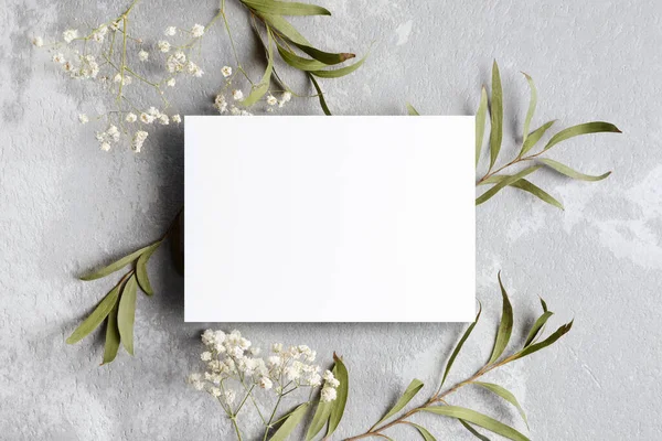 Bruiloft uitnodiging kaart mockup met eucalyptus en gipskruid takjes. Blanco kaart mockup op grijze achtergrond. — Stockfoto