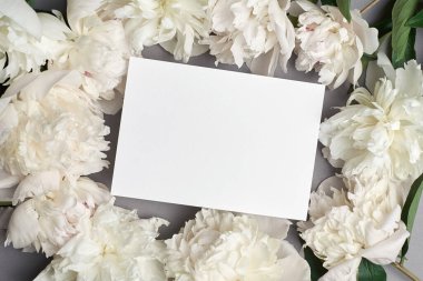 Düğün davetiyesi ya da tebrik kartı modeli beyaz şakayık çiçekleri ve okaliptüs dalları, üst görünüm, kopyalama alanı