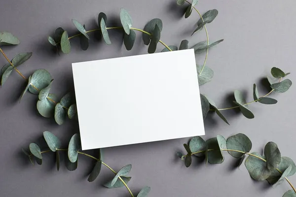 Uitnodiging of wenskaart mockup met eucalyptus twijgen. Blanco kaart mockup op grijze achtergrond. — Stockfoto