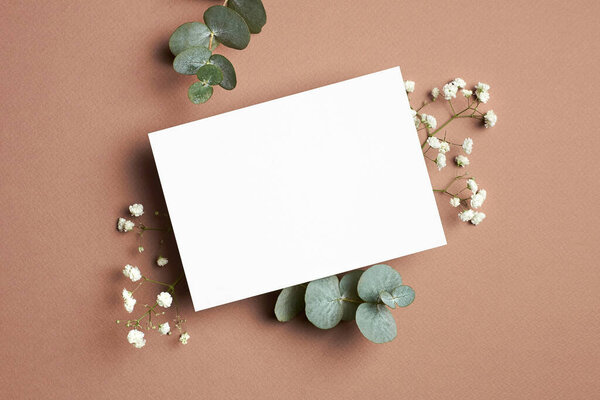 Invitation or greeting card mockup with eucalyptus and white gypsophila flower on beige paper background.