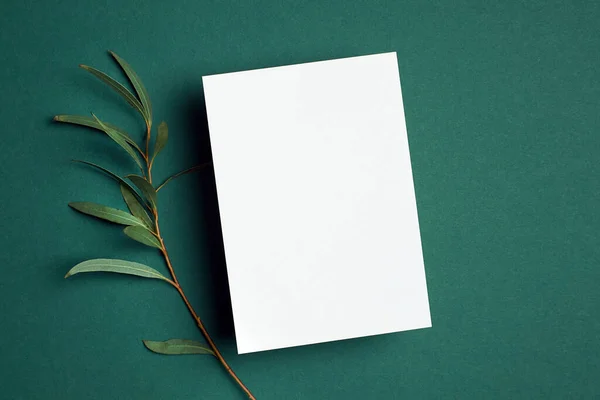 Convite ou cartão de saudação mockup com galho de eucalipto natural. — Fotografia de Stock