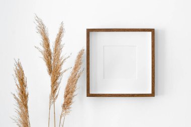 Kuru bitki süslemeleri ile beyaz duvarda passepartout modeli olan boş kare çerçeve. Minimalistik İskandinav tarzı iç mimari modeli.