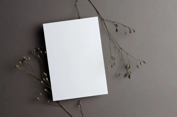 Uitnodiging Wenskaart Briefpapier Mockup Met Droge Bloemen Takjes Grijs — Stockfoto