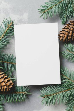 Noel veya Yeni Yıl tebrik kartı modeliyle köknar ağacı dalları ve gri arka planda koniler üst görünüm