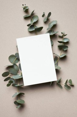 Greeting or wedding invitation card mockup with natural eucalyptus twigs. Empty card with copy space.
