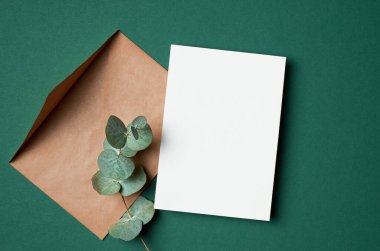 Davetiye ya da tebrik kartı modeli. Zarf ve doğal okaliptüs dalı..