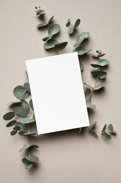 Greeting or wedding invitation card mockup with natural eucalyptus twigs. Empty card with copy space.