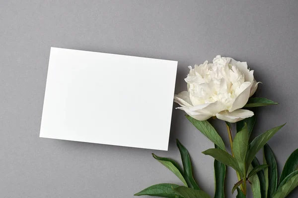 Wenskaart Mockup Met Kopieerruimte Witte Pioenroos Bloemen Grijze Achtergrond — Stockfoto