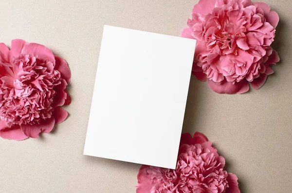 Üdvözlő Vagy Meghívó Kártya Mockup Rózsaszín Bazsarózsa Virágok Papíron Háttér — Stock Fotó