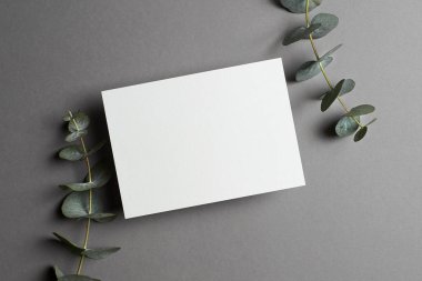 Wedding invitation or greeting card mockup with natural eucalyptus twigs, top view