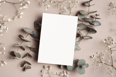 Wedding invitation or greeting card mockup, flat lay with natural eucalyptus and gypsophila flowers on paper background.