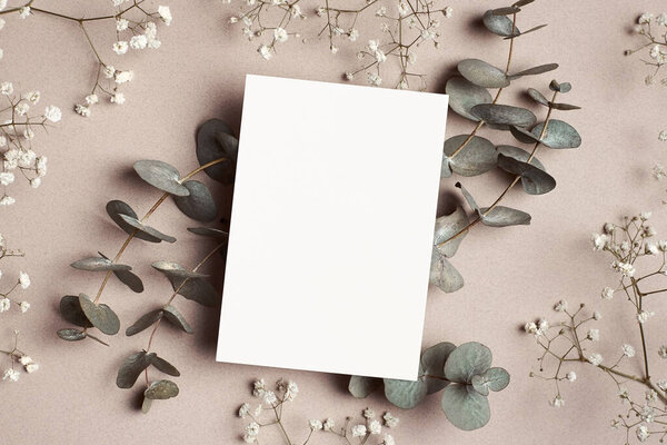 Wedding invitation or greeting card mockup, flat lay with natural eucalyptus and gypsophila flowers on paper background.