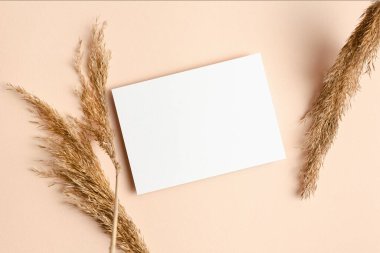 Düğün davetiyesi ya da tebrik kartı modeli. Bej kağıt arkaplanda kuru bitki süslemeleri var.