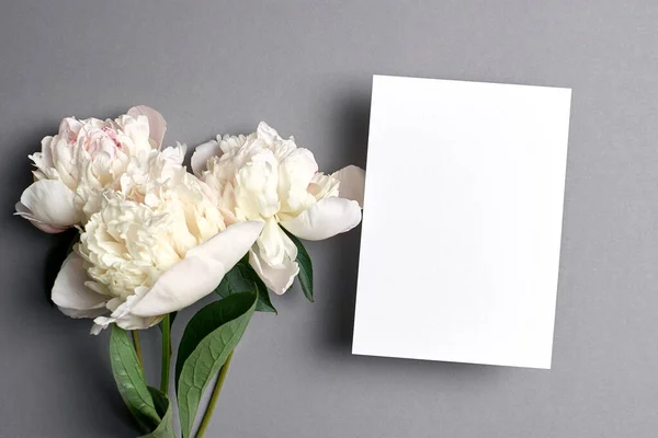 Wenskaart Mockup Met Kopieerruimte Witte Pioenroos Bloemen Grijze Achtergrond — Stockfoto