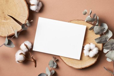 Davetiye ya da tebrik kartı okaliptüs dalları ve pamuk bitkisi çiçek süslemeleri ile modelleme