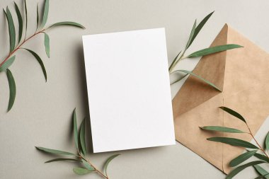Zarflı tebrik kartı veya davetiye modeli ve yeşil okaliptüs dalları, kopya alanı ile üst görünüm modeli