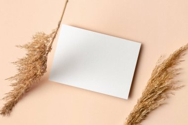 Düğün davetiyesi ya da tebrik kartı modeli. Bej kağıt arkaplanda kuru bitki süslemeleri var.