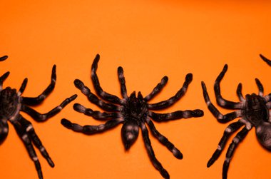 Turuncu arka planda siyah örümcekler.