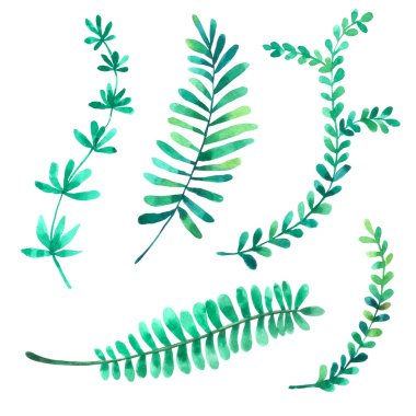 Suluboya koleksiyonunu beyaz arkaplanda yalıtılmış bırak, tebrik kartı, duvar kağıdı, kartpostallar, ürünler, paketleme ve daha fazlası için el çizimi yap