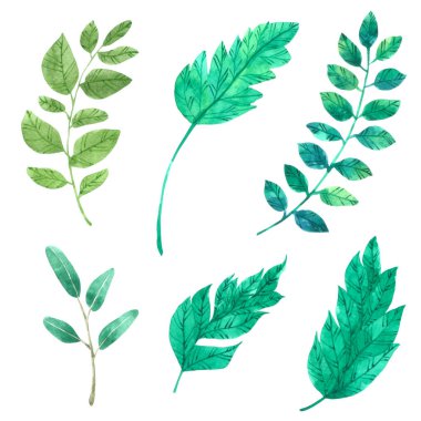 Suluboya koleksiyonunu beyaz arkaplanda yalıtılmış bırak, tebrik kartı, duvar kağıdı, kartpostallar, ürünler, paketleme ve daha fazlası için el çizimi yap