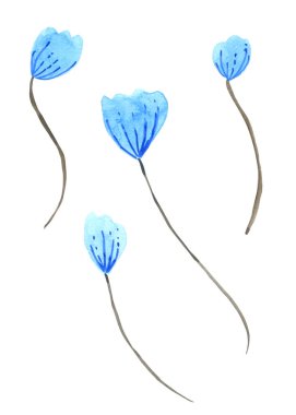 Mavi Çiçek suluboya koleksiyonu beyaz arkaplanda izole edildi. El çizimi resim.