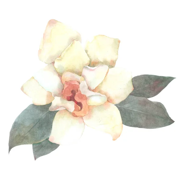 花の要素白い背景に孤立した水彩の結婚式の花 — ストック写真