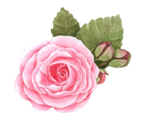 Blomma Element Akvarell Bröllop Blomma Isolat Vit Bakgrund — Stockfoto