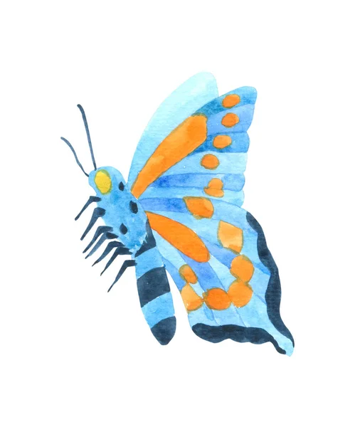 白い背景に隔離された蝶の漫画の水彩画 動物性手描きキャラクター絵画 — ストック写真