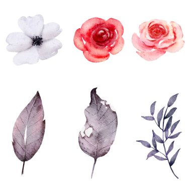 Çiçek koleksiyonu beyaz arkaplanda izole edilmiş suluboya