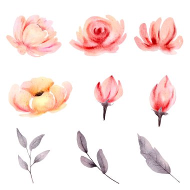 Çiçek koleksiyonu beyaz arkaplanda izole edilmiş suluboya