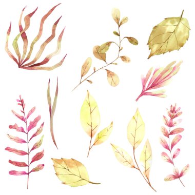 Sonbahar yaprağı elementleri beyaz arkaplanda izole edilmiş suluboya el boyası