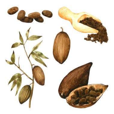 Kakao suluboya seti beyaz arkaplanda izole edildi