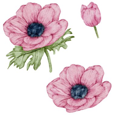 Çiçek elementi suluboya düğün çiçeği beyaz arkaplanda izole edilir