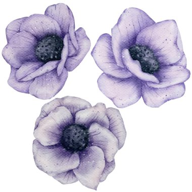 Çiçek elementi suluboya düğün çiçeği beyaz arkaplanda izole edilir