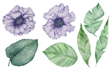 Çiçek elementi suluboya düğün çiçeği beyaz arkaplanda izole edilir