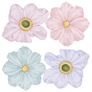 Çiçek elementi suluboya düğün çiçeği 