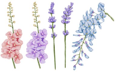 Çiçek elementi suluboya düğün çiçeği 