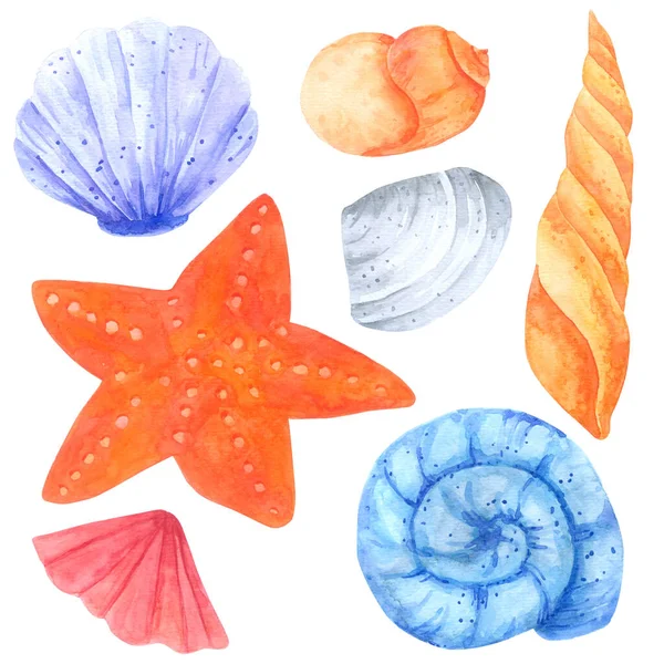 Collezione Acquerello Molluschi Stelle Marine Sfondo Bianco Disegnato Mano Bambini — Foto Stock