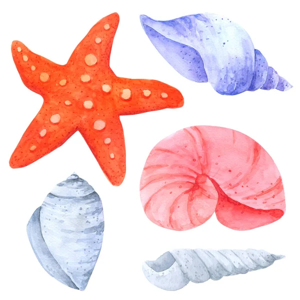 Skaldjur Och Starfish Akvarell Samling Vit Bakgrund Hand Dras För — Stockfoto