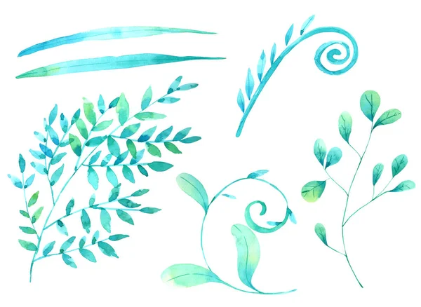 Gröna Blad Element Handfärg Akvarell Isolerad Vit Bakgrund — Stockfoto