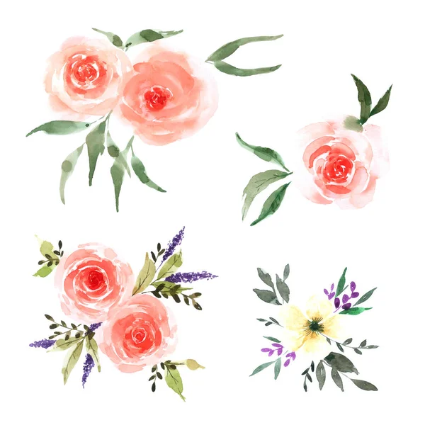Blomma Samling Akvarell Isolerad Vit Bakgrund — Stockfoto