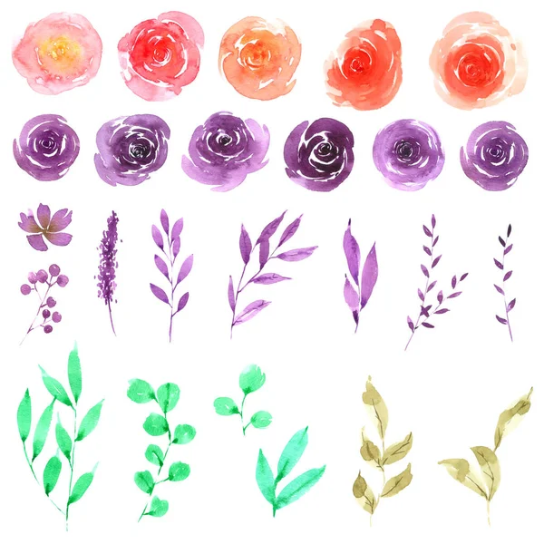 Çiçek koleksiyonu beyaz arkaplanda izole edilmiş suluboya