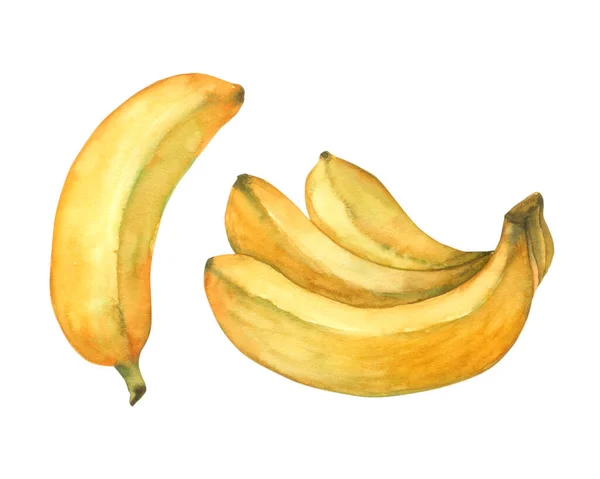 Banana Watercolor Hand Paint — Stock Photo, Image