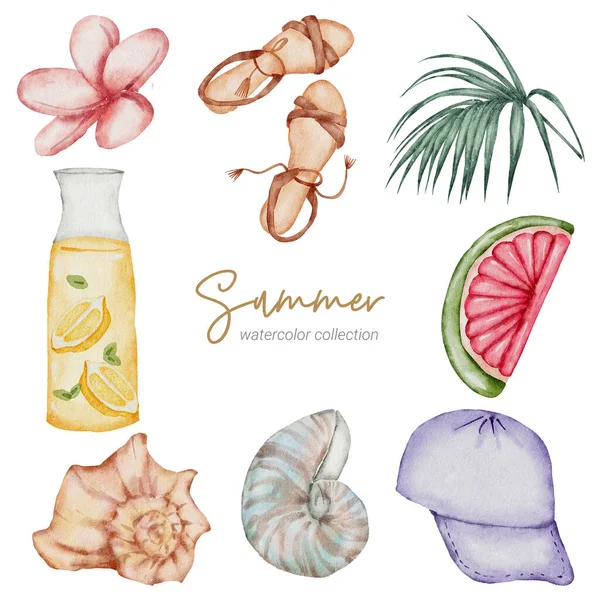 summer watercolor element collection