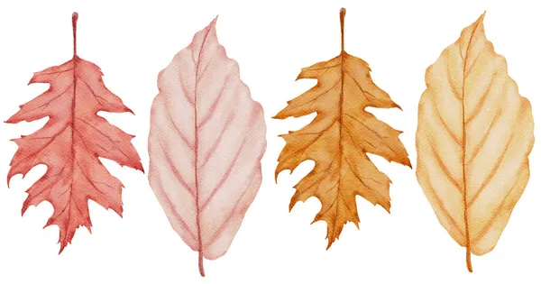 Autumn Leaf Watercolor Isolate White Background — Stock Photo, Image