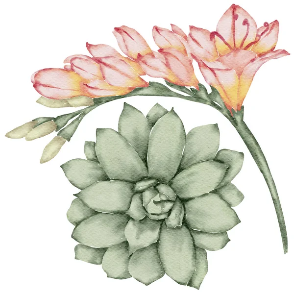 Blomma Element Akvarell Bröllop Blomma — Stockfoto