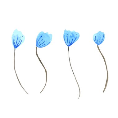 Mavi Çiçek suluboya koleksiyonu beyaz arkaplanda izole edildi. El çizimi resim.