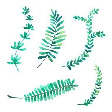 Suluboya koleksiyonunu beyaz arkaplanda yalıtılmış bırak, tebrik kartı, duvar kağıdı, kartpostallar, ürünler, paketleme ve daha fazlası için el çizimi yap